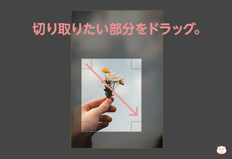 Gimpの使い方 これを知れば大丈夫 基本の切り抜きの方法4つをご紹介