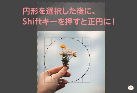 円形を選択した後に、 Shiftキーを押すと正円に！