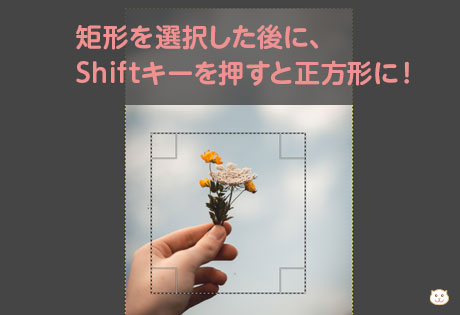 矩形を選択した後に、 Shiftキーを押すと正方形に！